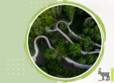 An aerial shot of an empty winding walking path at UTSC surrounded by dense foliage