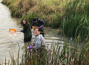 Students and teaching assistants, outfitted in waders from the School of the Environment, in the water in Lake Niapenco collecting invertebrates and small fish using D-frame invertebrate collection nets.