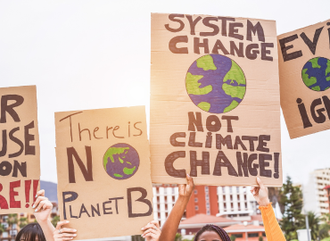 Climate protest signs