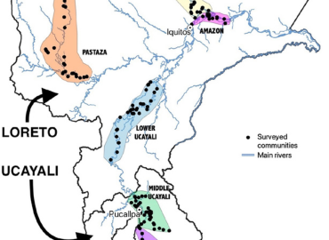 Study area and surveyed communities (n = 235) between 2014 and 2016 in northeastern Peruvian Amazon. Colored areas represent basin and sub-basin units.